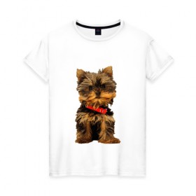 Женская футболка хлопок с принтом Нарисованный йорк , 100% хлопок | прямой крой, круглый вырез горловины, длина до линии бедер, слегка спущенное плечо | йорк | йоркширский терьер | нарисованная собака | собаки