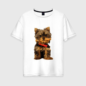 Женская футболка хлопок Oversize с принтом Нарисованный йорк , 100% хлопок | свободный крой, круглый ворот, спущенный рукав, длина до линии бедер
 | йорк | йоркширский терьер | нарисованная собака | собаки