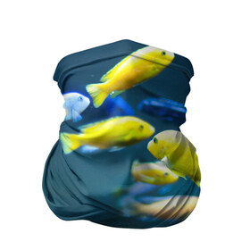 Бандана-труба 3D с принтом Рыбки , 100% полиэстер, ткань с особыми свойствами — Activecool | плотность 150‒180 г/м2; хорошо тянется, но сохраняет форму | fish | fishes | pisces | море | морские обитатели | морской | океан | рыбы