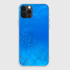 Чехол для iPhone 12 Pro Max с принтом Море , Силикон |  | fish | fishes | pisces | море | морские обитатели | морской | океан | рыбы