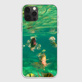 Чехол для iPhone 12 Pro Max с принтом abyssal fishes , Силикон |  | fish | fishes | pisces | море | морские обитатели | морской | океан | рыбы