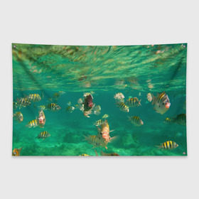 Флаг-баннер с принтом abyssal fishes , 100% полиэстер | размер 67 х 109 см, плотность ткани — 95 г/м2; по краям флага есть четыре люверса для крепления | fish | fishes | pisces | море | морские обитатели | морской | океан | рыбы