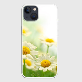 Чехол для iPhone 13 с принтом Полевые ромашки ,  |  | луг | поле | цветы