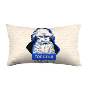 Подушка 3D антистресс с принтом Лев Толстой , наволочка — 100% полиэстер, наполнитель — вспененный полистирол | состоит из подушки и наволочки на молнии | Тематика изображения на принте: 