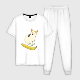 Мужская пижама хлопок с принтом Cat no banana , 100% хлопок | брюки и футболка прямого кроя, без карманов, на брюках мягкая резинка на поясе и по низу штанин
 | angry cat | banana | cat | no banana