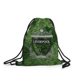 Рюкзак-мешок 3D с принтом Championship Liverpool , 100% полиэстер | плотность ткани — 200 г/м2, размер — 35 х 45 см; лямки — толстые шнурки, застежка на шнуровке, без карманов и подкладки | football | soccer | ливерпуль