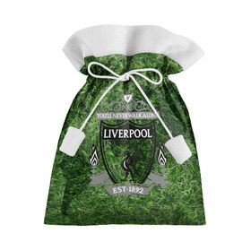 Подарочный 3D мешок с принтом Championship Liverpool , 100% полиэстер | Размер: 29*39 см | football | soccer | ливерпуль