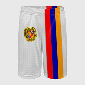 Детские спортивные шорты 3D с принтом I Love Armenia ,  100% полиэстер
 | пояс оформлен широкой мягкой резинкой, ткань тянется
 | armenia | армения | герб армении | ереван | флаг армении