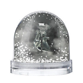 Снежный шар с принтом TFK Incomplete , Пластик | Изображение внутри шара печатается на глянцевой фотобумаге с двух сторон | tfk | thousand foot krutch