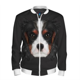 Мужской бомбер 3D с принтом Cavalier King Charles , 100% полиэстер | застегивается на молнию, по бокам два кармана без застежек, по низу бомбера и на воротнике - эластичная резинка | Тематика изображения на принте: голова | собака | спаниель