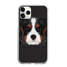 Чехол для iPhone 11 Pro матовый с принтом Cavalier King Charles , Силикон |  | Тематика изображения на принте: голова | собака | спаниель
