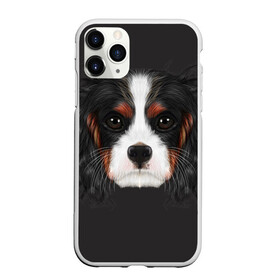 Чехол для iPhone 11 Pro Max матовый с принтом Cavalier King Charles , Силикон |  | Тематика изображения на принте: голова | собака | спаниель