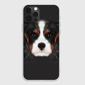 Чехол для iPhone 12 Pro Max с принтом Cavalier King Charles , Силикон |  | Тематика изображения на принте: голова | собака | спаниель
