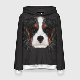 Женская толстовка 3D с принтом Cavalier King Charles , 100% полиэстер  | двухслойный капюшон со шнурком для регулировки, мягкие манжеты на рукавах и по низу толстовки, спереди карман-кенгуру с мягким внутренним слоем. | голова | собака | спаниель