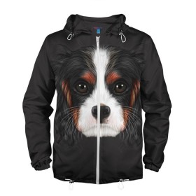 Мужская ветровка 3D с принтом Cavalier King Charles , 100% полиэстер | подол и капюшон оформлены резинкой с фиксаторами, два кармана без застежек по бокам, один потайной карман на груди | Тематика изображения на принте: голова | собака | спаниель