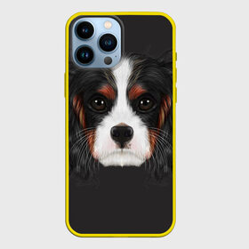 Чехол для iPhone 13 Pro Max с принтом Cavalier King Charles ,  |  | Тематика изображения на принте: голова | собака | спаниель