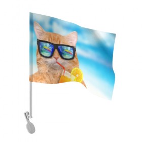 Флаг для автомобиля с принтом Кот на пляже , 100% полиэстер | Размер: 30*21 см | summer | апельсиновый сок | кот | кот на пляже | коте | котик | котэ | котяра | лето | море | небо | отдых | очки | пляже