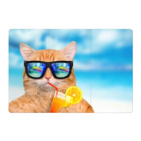 Магнитный плакат 3Х2 с принтом Кот на пляже , Полимерный материал с магнитным слоем | 6 деталей размером 9*9 см | Тематика изображения на принте: summer | апельсиновый сок | кот | кот на пляже | коте | котик | котэ | котяра | лето | море | небо | отдых | очки | пляже