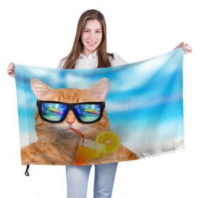 Флаг 3D с принтом Кот на пляже , 100% полиэстер | плотность ткани — 95 г/м2, размер — 67 х 109 см. Принт наносится с одной стороны | summer | апельсиновый сок | кот | кот на пляже | коте | котик | котэ | котяра | лето | море | небо | отдых | очки | пляже