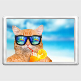 Магнит 45*70 с принтом Кот на пляже , Пластик | Размер: 78*52 мм; Размер печати: 70*45 | Тематика изображения на принте: summer | апельсиновый сок | кот | кот на пляже | коте | котик | котэ | котяра | лето | море | небо | отдых | очки | пляже