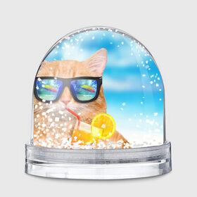 Водяной шар с принтом Кот на пляже , Пластик | Изображение внутри шара печатается на глянцевой фотобумаге с двух сторон | summer | апельсиновый сок | кот | кот на пляже | коте | котик | котэ | котяра | лето | море | небо | отдых | очки | пляже