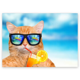 Поздравительная открытка с принтом КОТ НА ПЛЯЖЕ. , 100% бумага | плотность бумаги 280 г/м2, матовая, на обратной стороне линовка и место для марки
 | Тематика изображения на принте: summer | апельсиновый сок | кот | кот на пляже | коте | котик | котэ | котяра | лето | море | небо | отдых | очки | пляже