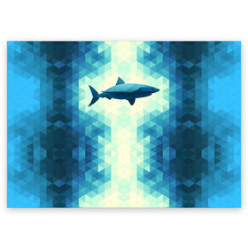 Поздравительная открытка с принтом Акула , 100% бумага | плотность бумаги 280 г/м2, матовая, на обратной стороне линовка и место для марки
 | shark | водолаз | гарпун | глубина | дельфин | злость | зубы | кит | кровь | курорт | лето | море | океан | отдых | охота | плавник | пляж | риф | рыба | хищник | челюсти | челюсть