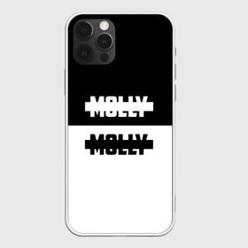 Чехол для iPhone 12 Pro с принтом Molly , силикон | область печати: задняя сторона чехла, без боковых панелей | molly | андрей густей | дмитрий гончаренко | кирилл бледный | кирилл тимошенко | моли пошлая | молли | ольга | павел холодянский | панк группа | поп панк | серябкина | синти панк