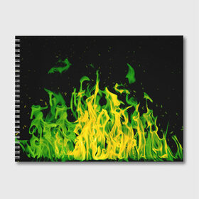 Альбом для рисования с принтом Дикий огонь , 100% бумага
 | матовая бумага, плотность 200 мг. | Тематика изображения на принте: зеленое пламя | зеленый огонь