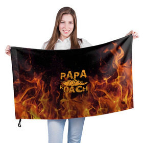 Флаг 3D с принтом Papa Roach , 100% полиэстер | плотность ткани — 95 г/м2, размер — 67 х 109 см. Принт наносится с одной стороны | papa roach | roach | папа роач | папароач | папароч | роач | роч