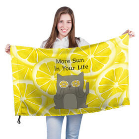 Флаг 3D с принтом More Sun In Your Life , 100% полиэстер | плотность ткани — 95 г/м2, размер — 67 х 109 см. Принт наносится с одной стороны | cat | kitty | lemon | lemonade | limon | pussycat | summer | жара | желтый | кот | котенок | котики | котэ | кошка | лемон | лемонад | лето | лимон | лимонад | позитив | серый | сок | солнце | сочный | фрукт | цитрус | черный | яркий