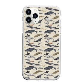 Чехол для iPhone 11 Pro матовый с принтом Whales pattern , Силикон |  | whale | акула | горбач | касатка | кашалот | кит | море | океан | рыбы | синий кит