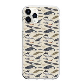 Чехол для iPhone 11 Pro Max матовый с принтом Whales pattern , Силикон |  | whale | акула | горбач | касатка | кашалот | кит | море | океан | рыбы | синий кит