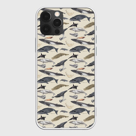 Чехол для iPhone 12 Pro с принтом Whales pattern , силикон | область печати: задняя сторона чехла, без боковых панелей | whale | акула | горбач | касатка | кашалот | кит | море | океан | рыбы | синий кит
