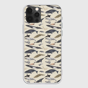 Чехол для iPhone 12 Pro Max с принтом Whales pattern , Силикон |  | whale | акула | горбач | касатка | кашалот | кит | море | океан | рыбы | синий кит