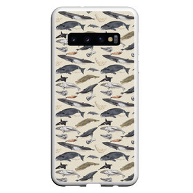 Чехол для Samsung Galaxy S10 с принтом Whales pattern , Силикон | Область печати: задняя сторона чехла, без боковых панелей | Тематика изображения на принте: whale | акула | горбач | касатка | кашалот | кит | море | океан | рыбы | синий кит