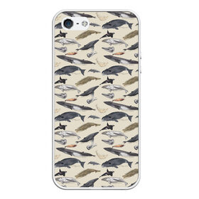 Чехол для iPhone 5/5S матовый с принтом Whales pattern , Силикон | Область печати: задняя сторона чехла, без боковых панелей | whale | акула | горбач | касатка | кашалот | кит | море | океан | рыбы | синий кит