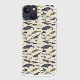 Чехол для iPhone 13 с принтом Whales pattern ,  |  | Тематика изображения на принте: whale | акула | горбач | касатка | кашалот | кит | море | океан | рыбы | синий кит