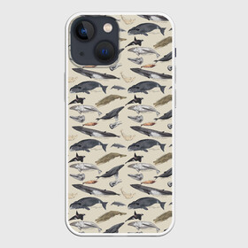 Чехол для iPhone 13 mini с принтом Whales pattern ,  |  | whale | акула | горбач | касатка | кашалот | кит | море | океан | рыбы | синий кит