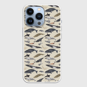 Чехол для iPhone 13 Pro с принтом Whales pattern ,  |  | Тематика изображения на принте: whale | акула | горбач | касатка | кашалот | кит | море | океан | рыбы | синий кит