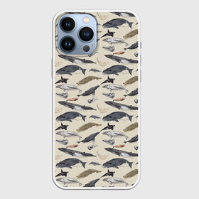 Чехол для iPhone 13 Pro Max с принтом Whales pattern ,  |  | Тематика изображения на принте: whale | акула | горбач | касатка | кашалот | кит | море | океан | рыбы | синий кит