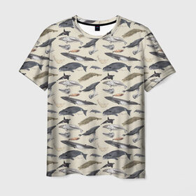 Мужская футболка 3D с принтом Whales pattern , 100% полиэфир | прямой крой, круглый вырез горловины, длина до линии бедер | whale | акула | горбач | касатка | кашалот | кит | море | океан | рыбы | синий кит