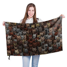 Флаг 3D с принтом Глупые коты , 100% полиэстер | плотность ткани — 95 г/м2, размер — 67 х 109 см. Принт наносится с одной стороны | кот | котик | котики | кошка | паттерн