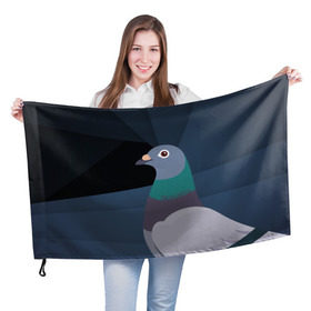 Флаг 3D с принтом Голубь Наташа , 100% полиэстер | плотность ткани — 95 г/м2, размер — 67 х 109 см. Принт наносится с одной стороны | natasha | голубь наташа | мемы