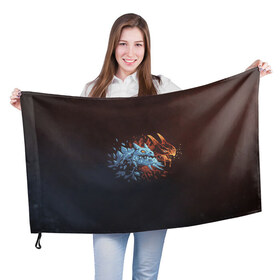 Флаг 3D с принтом Jakiro - Fire and Ice , 100% полиэстер | плотность ткани — 95 г/м2, размер — 67 х 109 см. Принт наносится с одной стороны | 