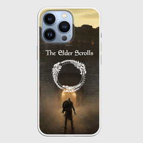Чехол для iPhone 13 Pro с принтом THE ELDER SCROLLS SKYRIM | TES 5 ,  |  | bethesda | game | tes | the elder scrolss | бетезда | игры | магия | рыцарь