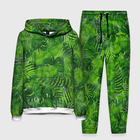 Мужской костюм 3D (с толстовкой) с принтом Тропики ,  |  | джунгли | зелень | лес | листья | тропики