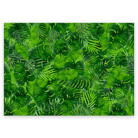 Поздравительная открытка с принтом Тропики , 100% бумага | плотность бумаги 280 г/м2, матовая, на обратной стороне линовка и место для марки
 | джунгли | зелень | лес | листья | тропики
