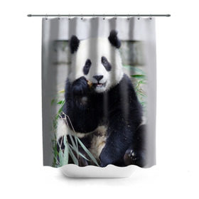 Штора 3D для ванной с принтом Большая панда , 100% полиэстер | плотность материала — 100 г/м2. Стандартный размер — 146 см х 180 см. По верхнему краю — пластиковые люверсы для креплений. В комплекте 10 пластиковых колец | бамбук | белый | джунгли | дикое | животное | китай | лес | медведь | черный