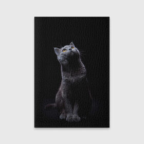 Обложка для паспорта матовая кожа с принтом Милый котик , натуральная матовая кожа | размер 19,3 х 13,7 см; прозрачные пластиковые крепления | Тематика изображения на принте: кот | котенок | кошка | милый | пушистый | черный
